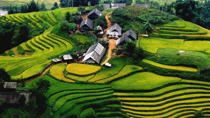 best-time-to-visit-sapa-rice-fields-3