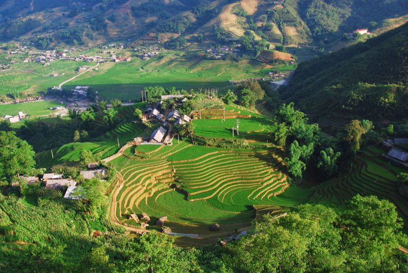 best-time-to-visit-sapa-rice-fields-4