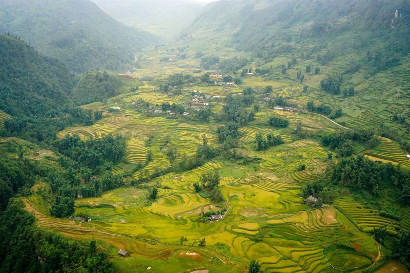 best-time-to-visit-sapa-rice-fields-5