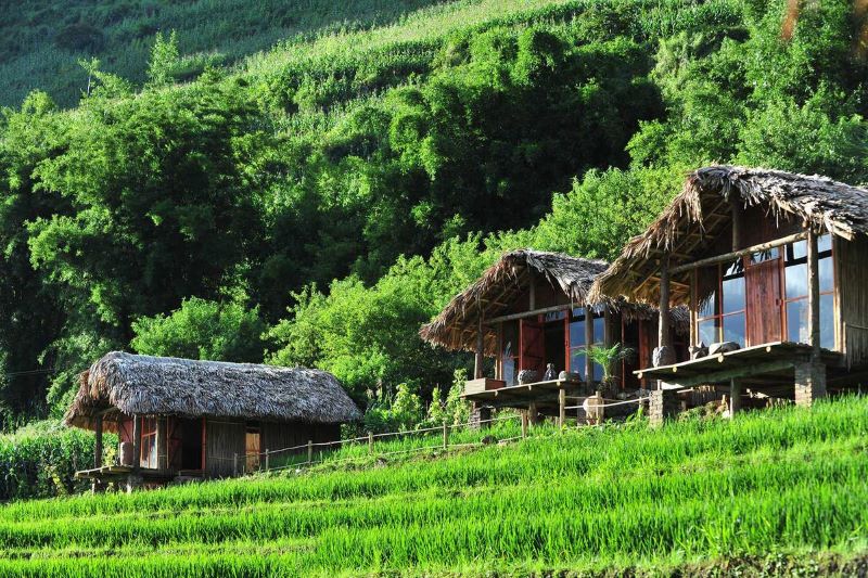 best-time-to-visit-sapa-rice-fields-6