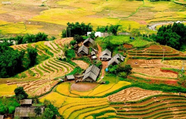 best-time-to-visit-sapa-rice-fields-7