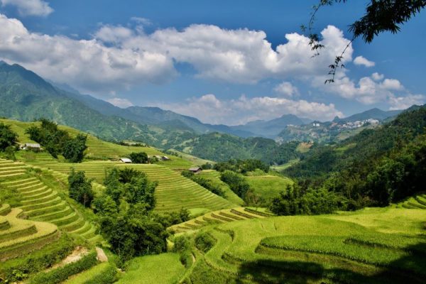 sapa-in-august-3