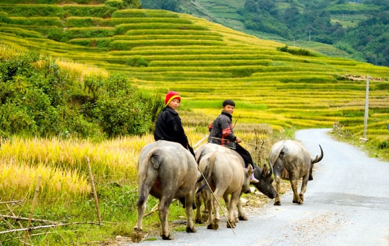 sapa-4-days-3-night-tours-2