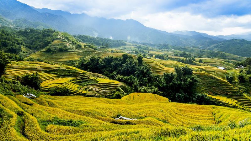 sapa-4-days-3-night-tours-5