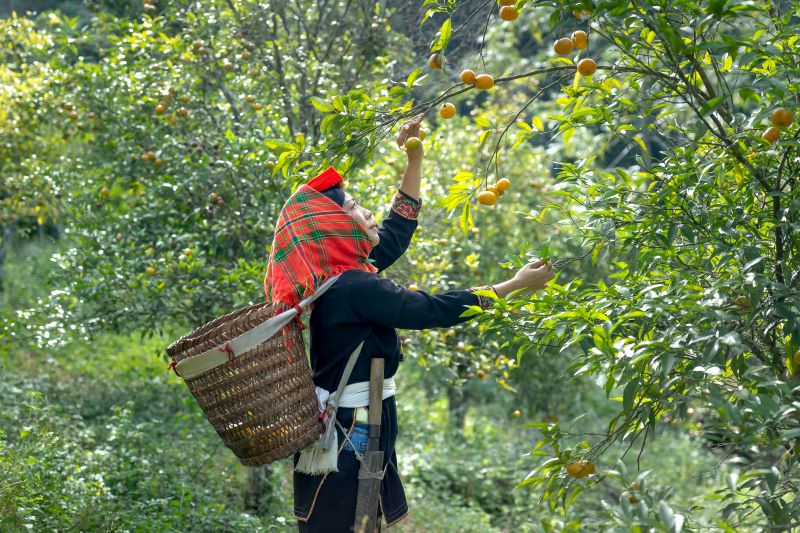 sapa-weather-3