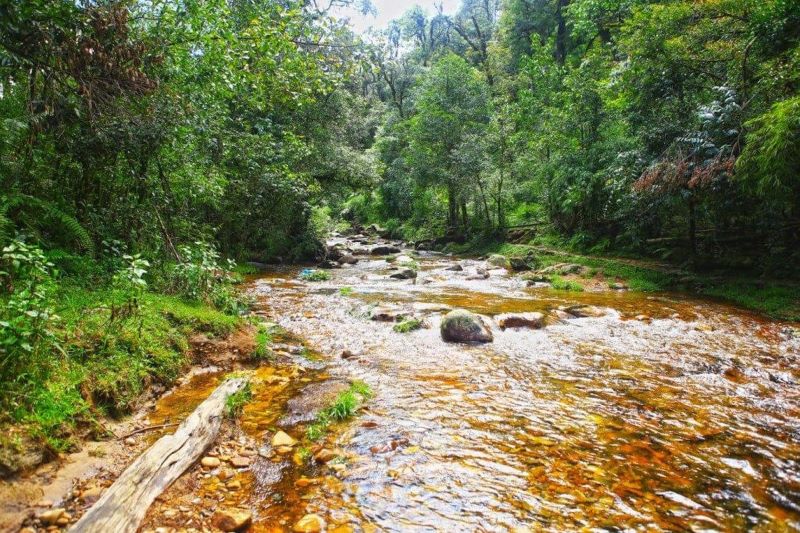 sapa’s-hidden-waterfalls-13