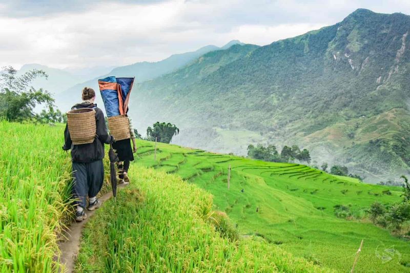 the-ultimate-trekking-routes-in-sapa-1